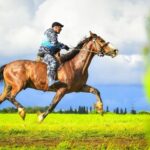 Прилузье, Усть-Кулом и Печора задают тон: жители Коми раскрывают свои «места силы» всей стране