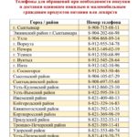В Коми соцработники по телефонным заявкам помогут одиноким пожилым и маломобильным гражданам с покупкой продуктов и лекарств