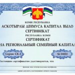 В Коми за счет регионального семейного капитала улучшили жилищные условия более 650 многодетных семей и почти 1250 — отремонтировали свои квартиры